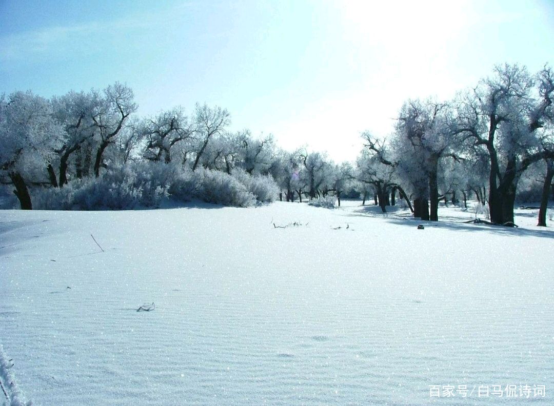 岑參一首寫雪天邊防的詩,無一字謳歌軍魂而句句令人對將士們起敬