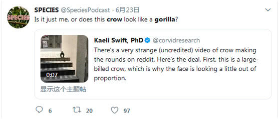 黑猩猩“变脸”长尖嘴？专家称是一只巨嘴乌鸦在晒太阳，网友炸了