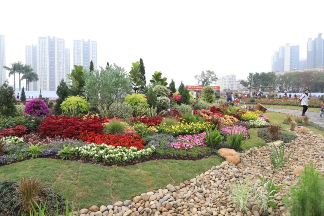 深圳新晋网红打卡圣地来了!超美的牛角龙花田等着你来拍!