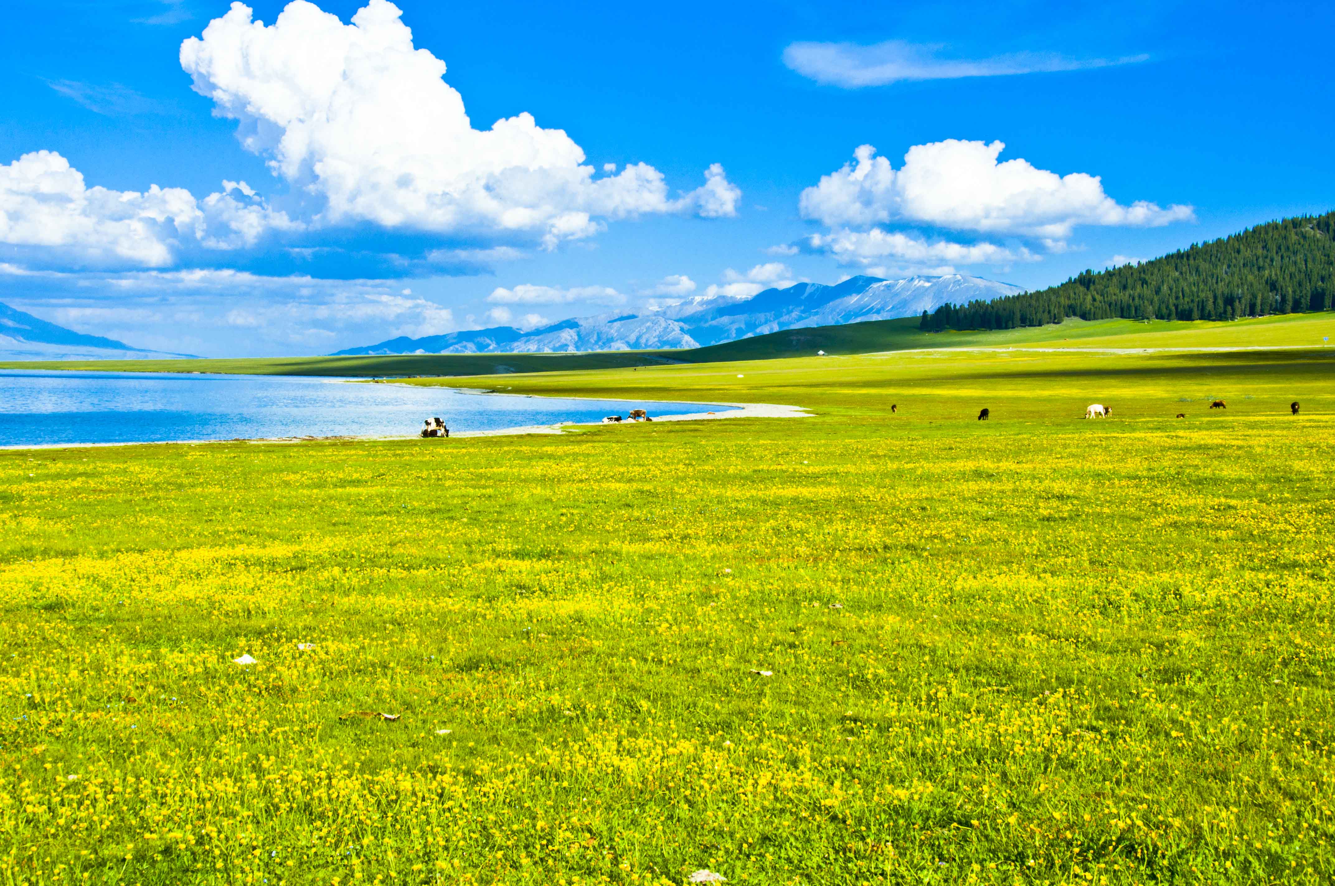 赛里木湖清澈透底,风景秀丽,它是大西洋暖湿气流最后眷顾的地方