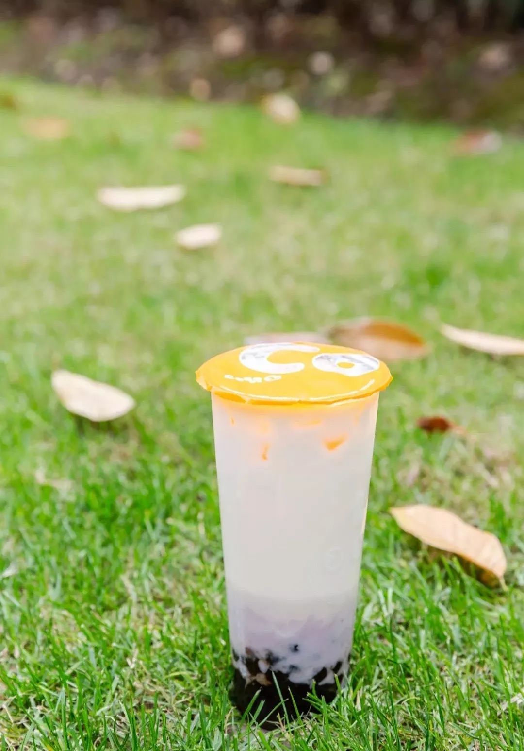 coco隐藏菜单 · 冬日点单攻略