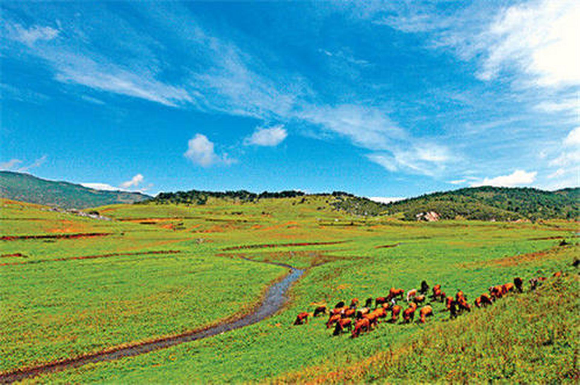 格萨拉生态旅游区图片