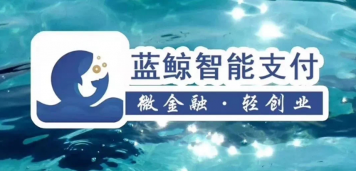 蓝鲸app:信用卡智能还款 无卡支付撬动支付市场新机遇