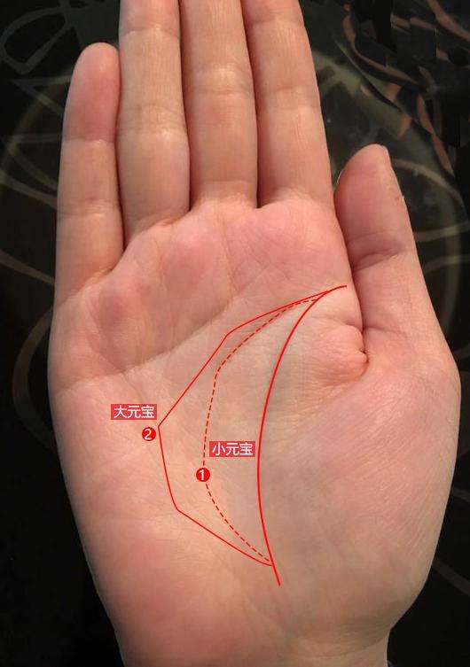 手相中的发财手,手掌有这些特征,象征富贵之命,事业能大成