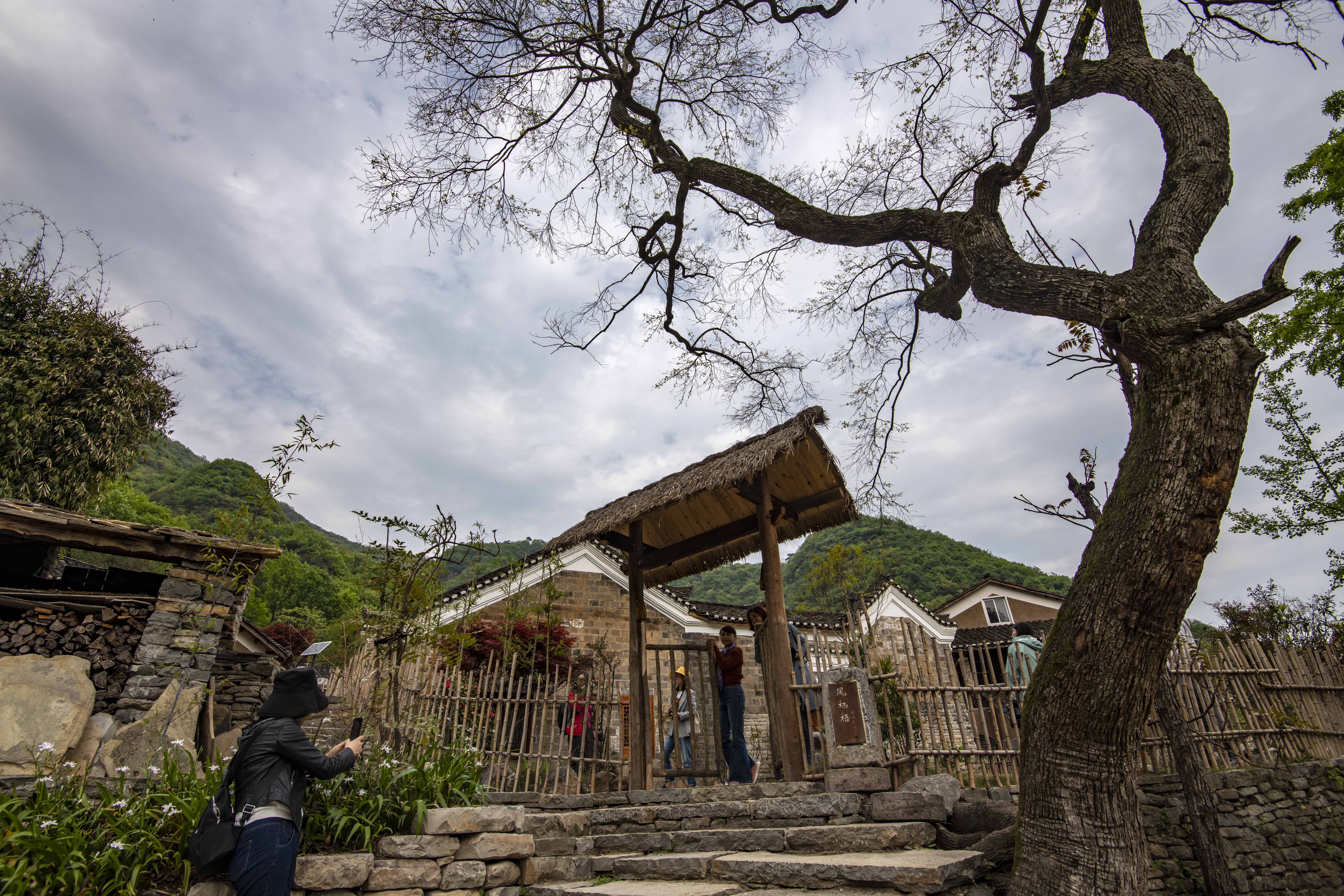 湖北远安:贫困村变身休闲民宿旅游村(4)