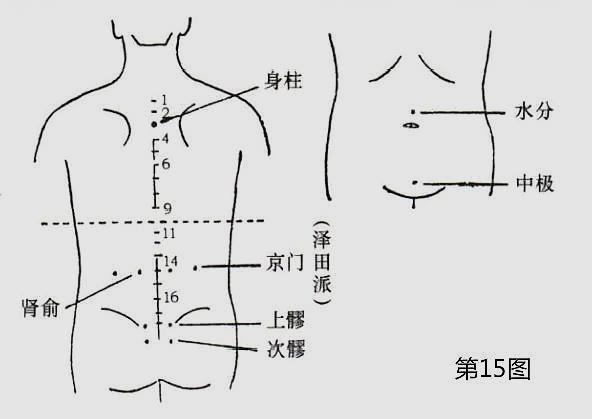 女性艾灸补肾的位置图图片