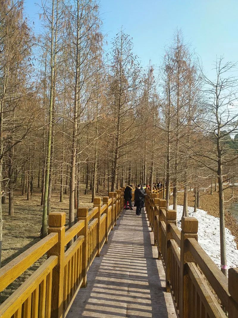 一年四季都有景 修复后的东湖山公园更美了