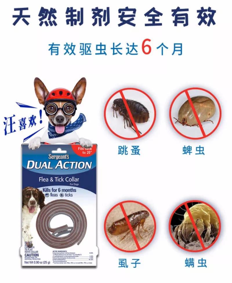 养狗狗有跳蚤怎么办?怎样预防跳蚤最好?