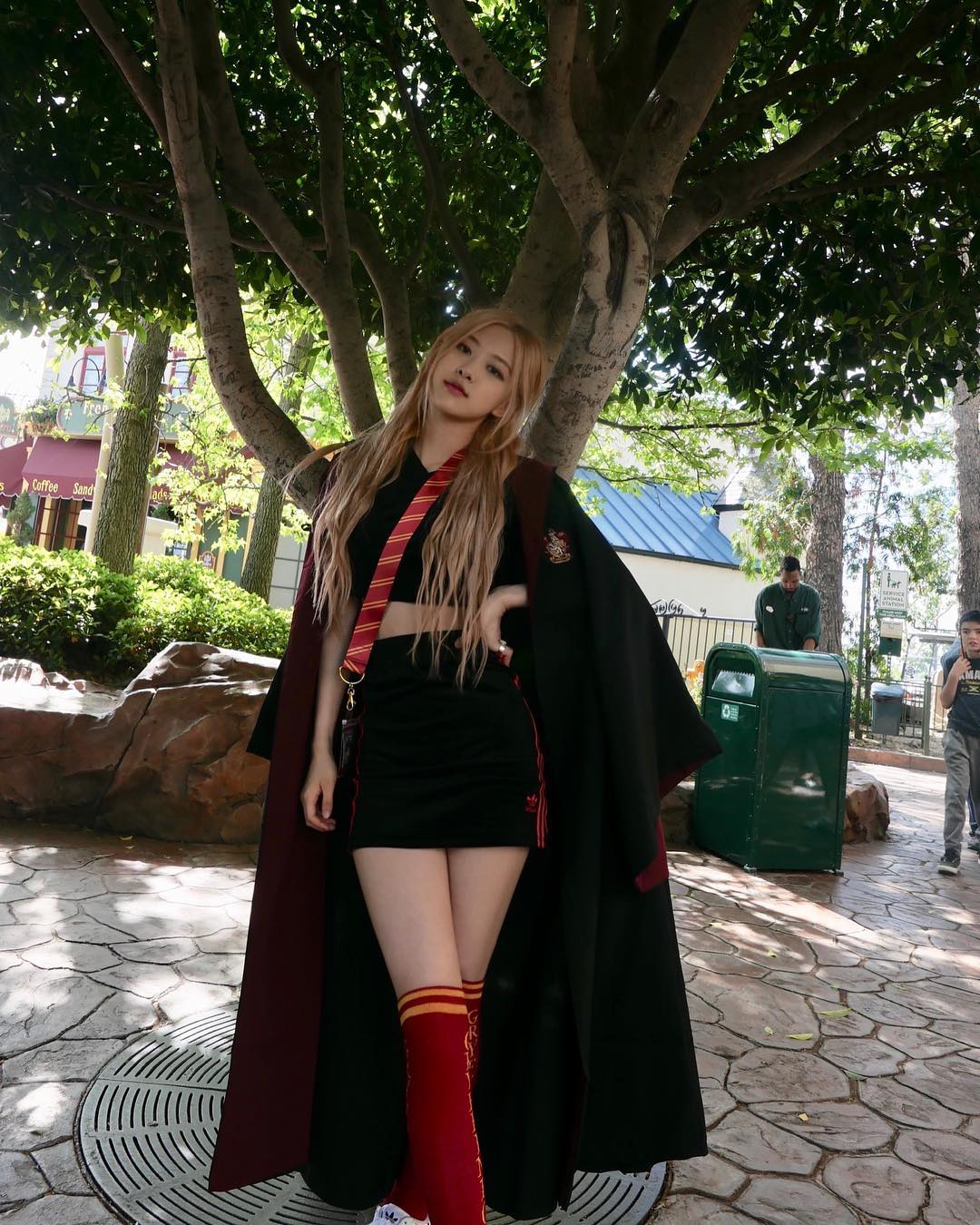 今日份的暴风更新之肉肉篇!美美的游客模式开启!