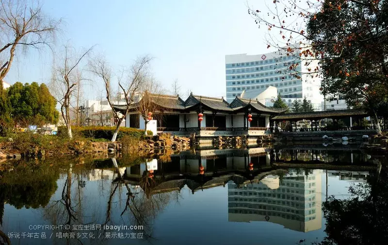 永红随笔:宝应纵棹园的风景