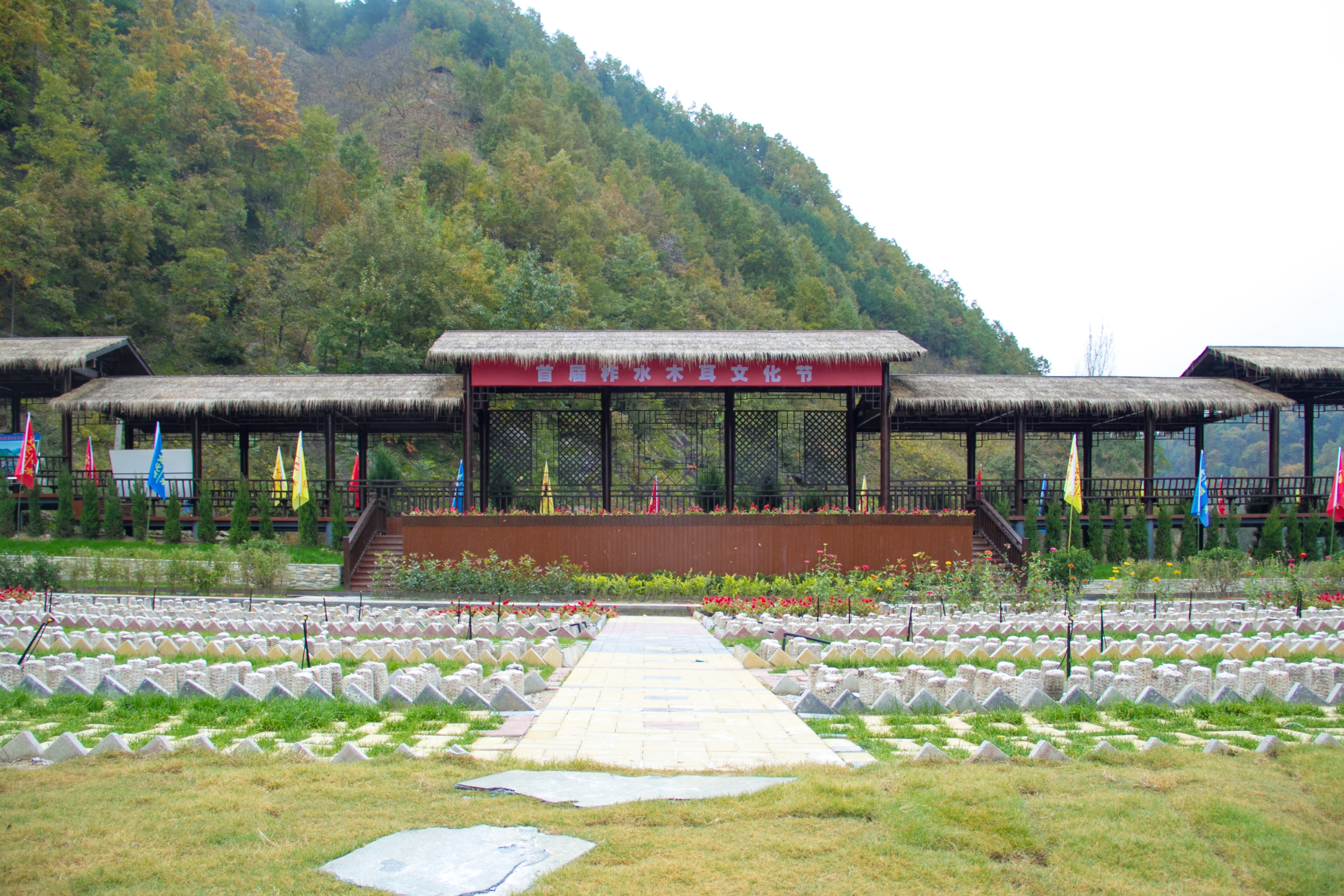 柞水老庵寺图片