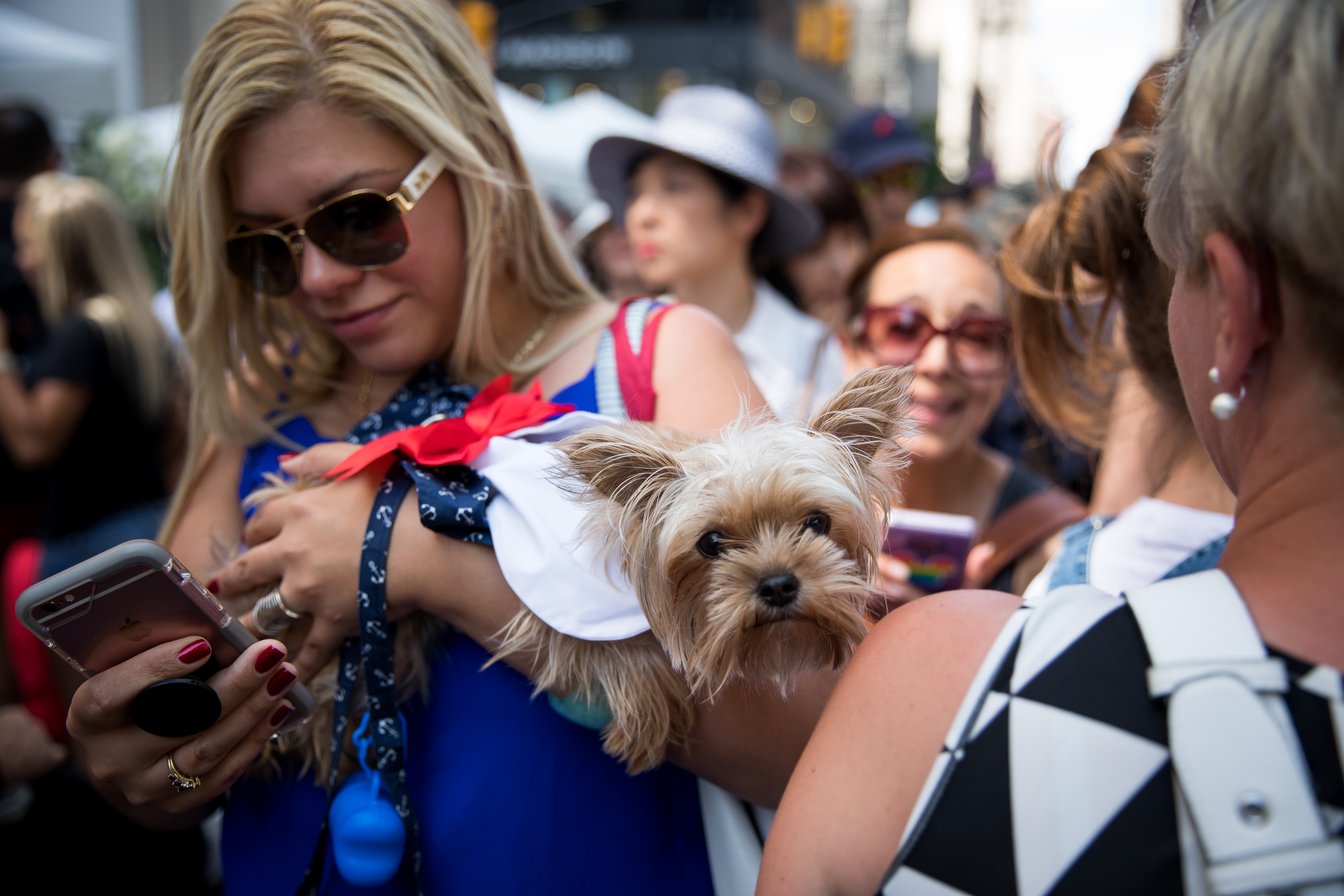 纽约庆祝"巴士底日"