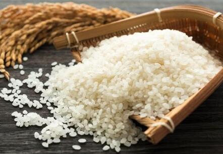 时隔7年,中国解禁新潟大米,但日本国内有人却这样想