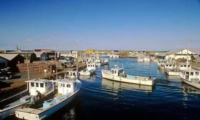 中国移民也能顶爱德华王子岛半边天