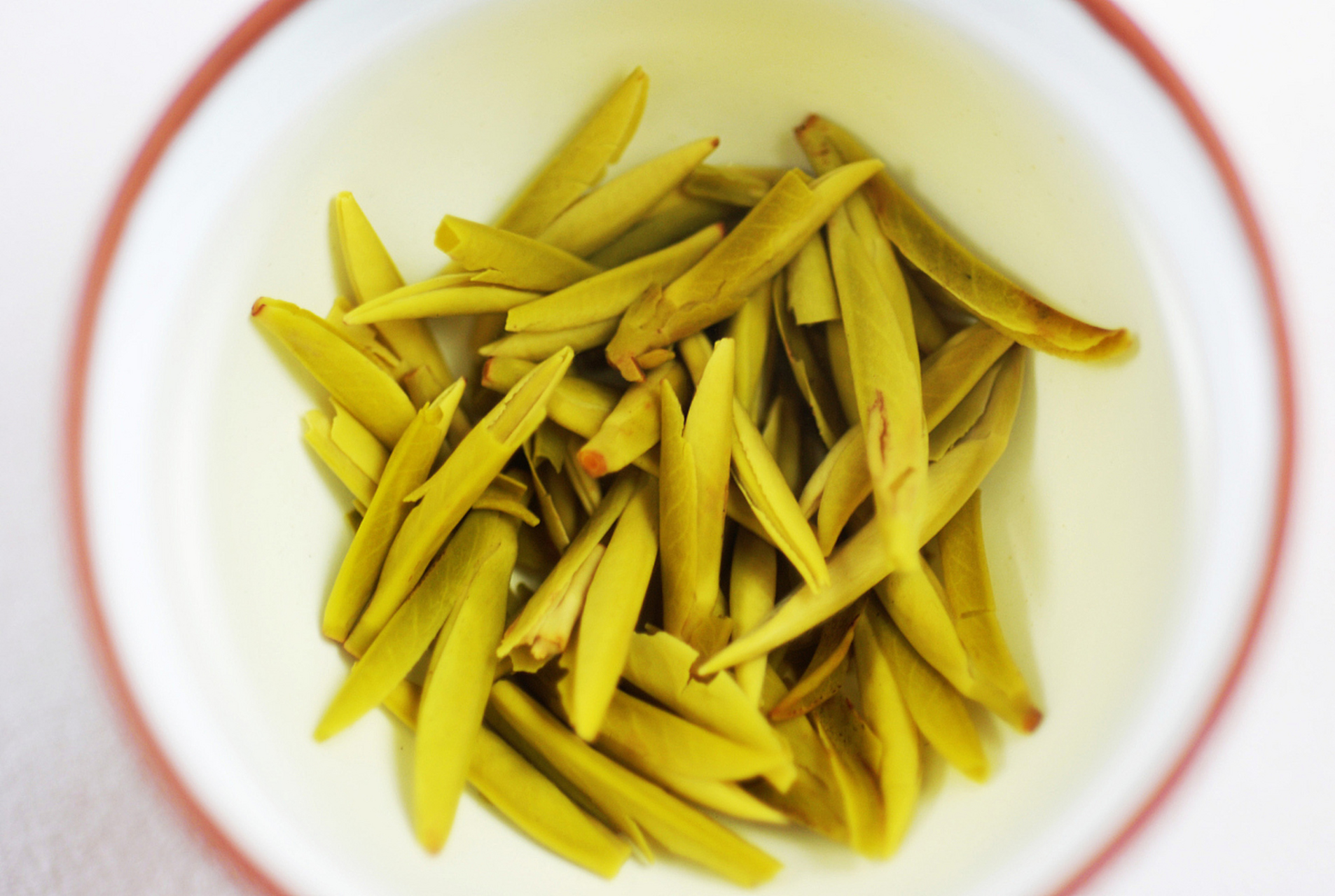 奶白黄金芽,这是一种珍稀如金的茶中瑰宝,每一片都如同自然的精灵