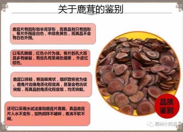 鹿茸的功效与作用吃法图片