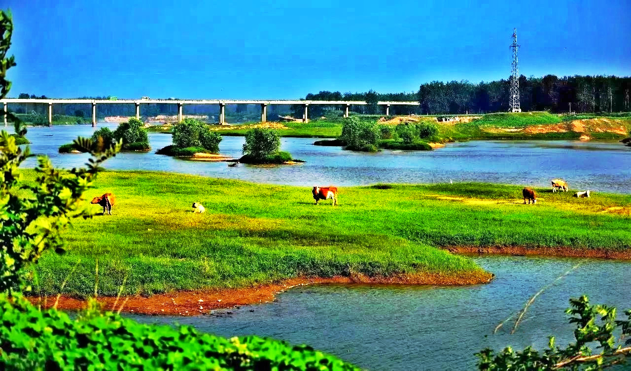 河南息县淮河国家湿地公园形象logo面向社会公开征集