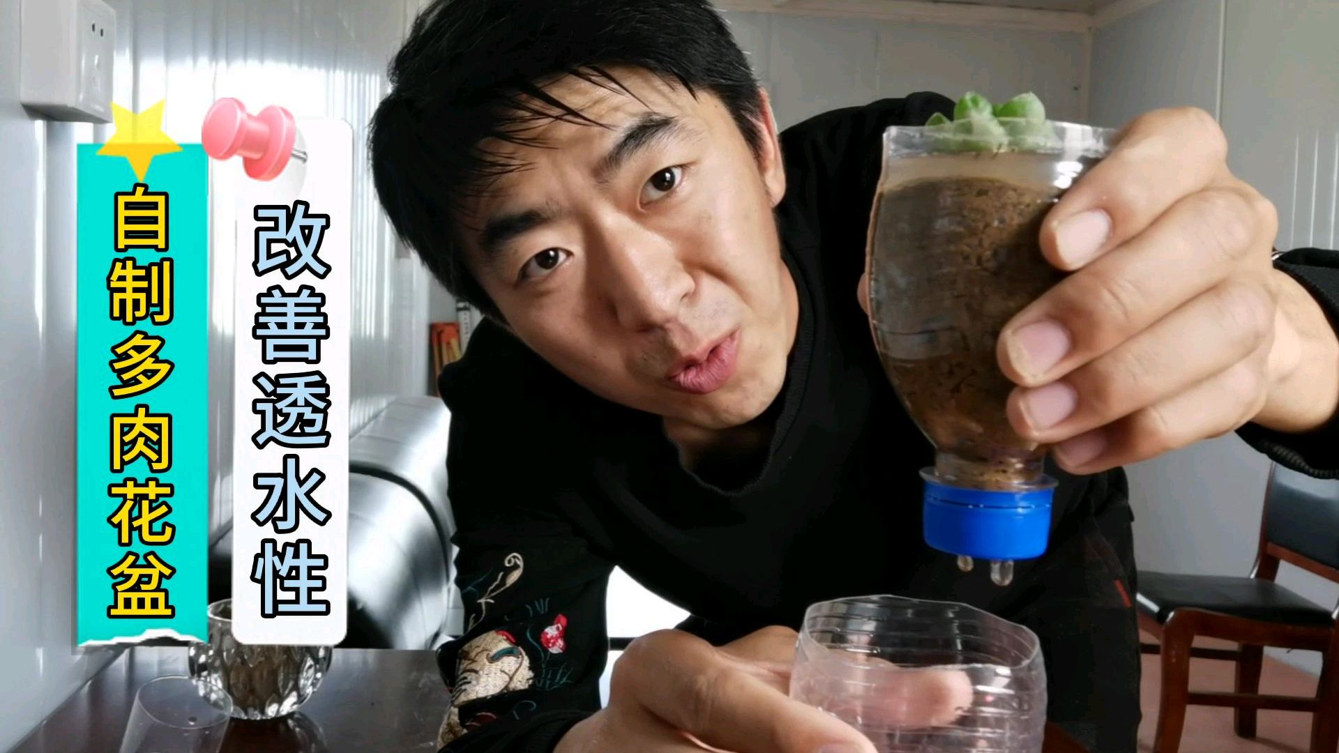 买的多肉蔫了,自制多肉花盆再换沙土,这下多肉该茁壮成长了吧