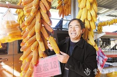 刘庆文:痴迷于玉米良种繁育