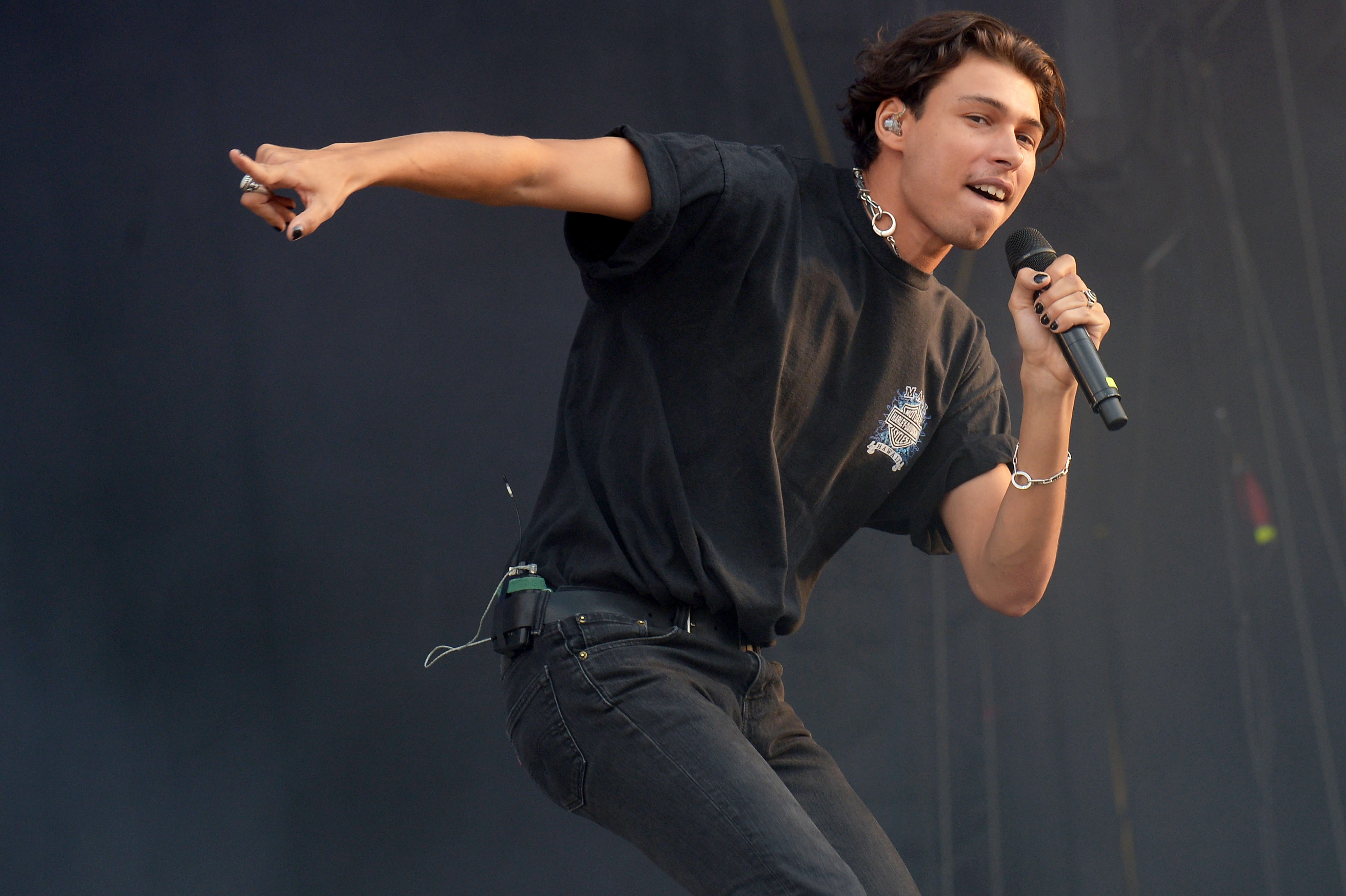 2019法国les vieilles charrues音乐节(12)