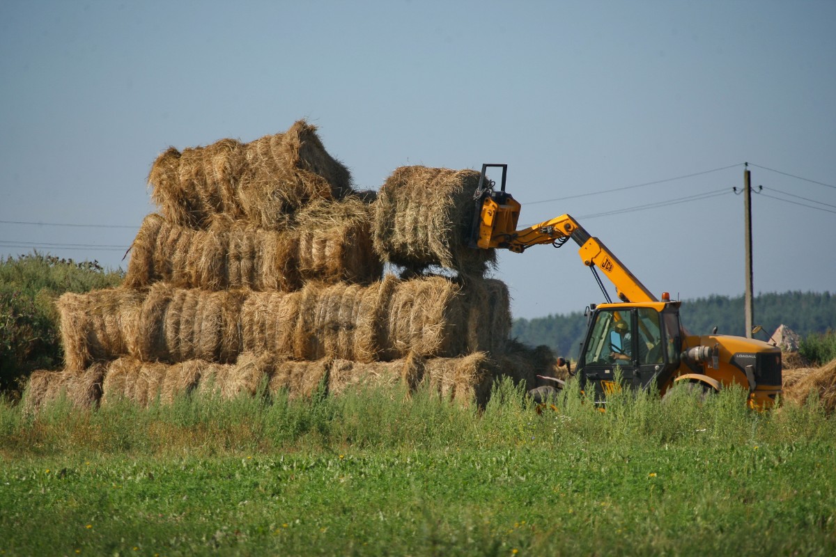 俄罗斯农业专家表示:俄罗斯小麦出口继续保持全球领先地位