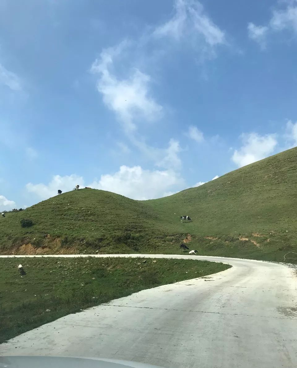亲子游:自驾湖南城步南山牧场