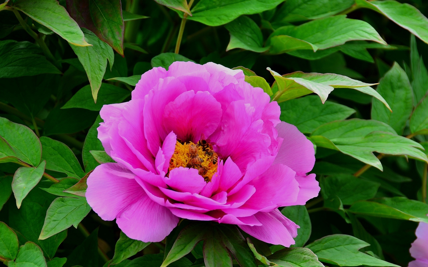 人生一晃就老了!(致自己)