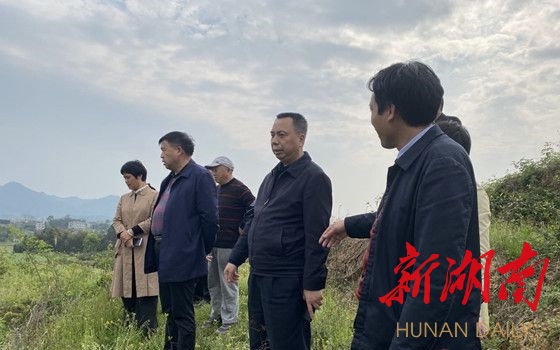 彭石清深入乡镇调研产业扶贫发展情况