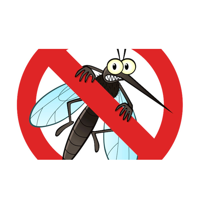 夏季驱蚊"土方法"!你绝对不知道!