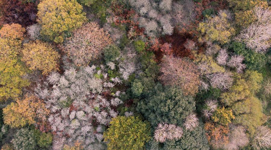 家电产业如何直面寒冬市场竞争?海尔美的海信长虹给出方向和道路-家电圈官网