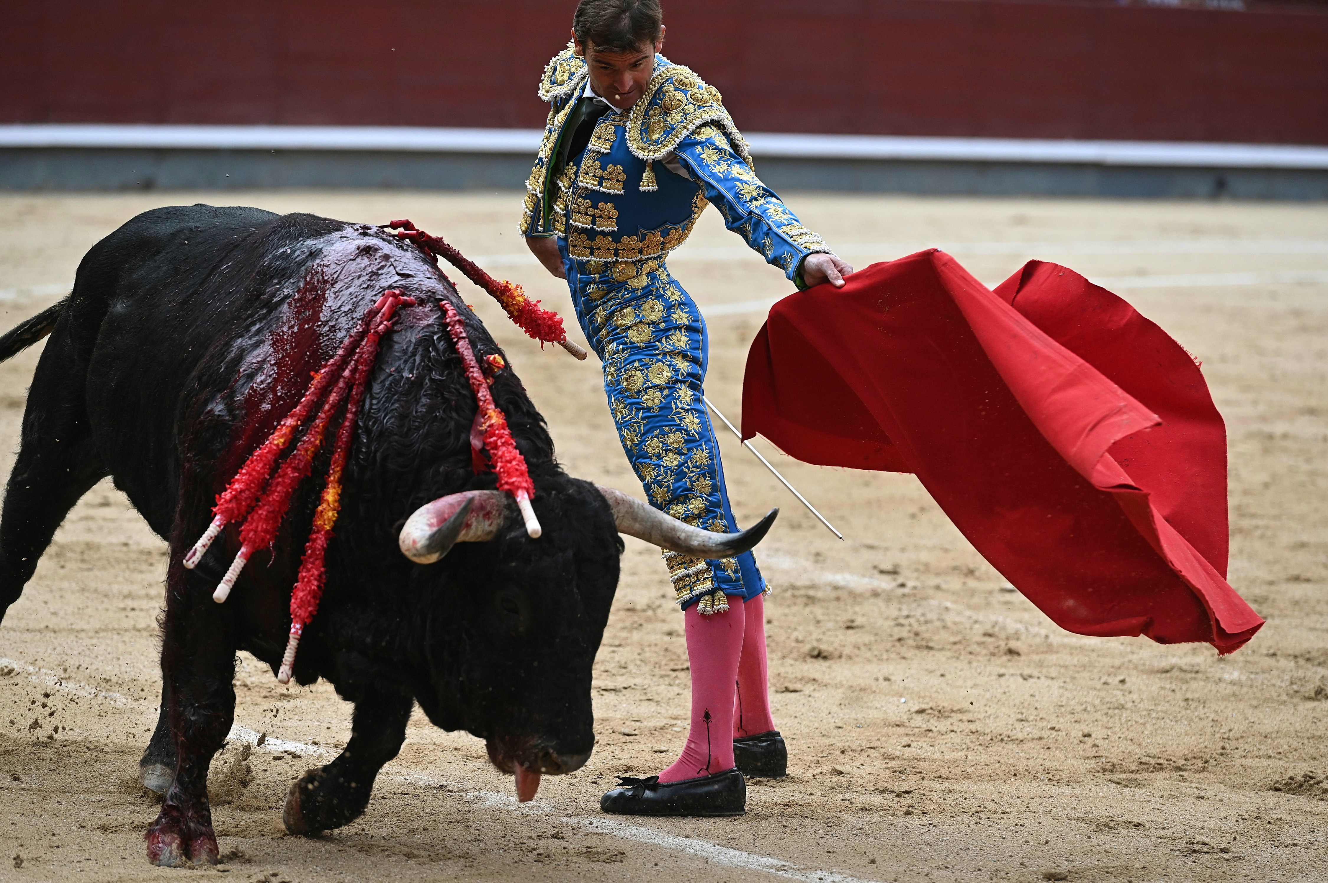 西班牙马德里斗牛