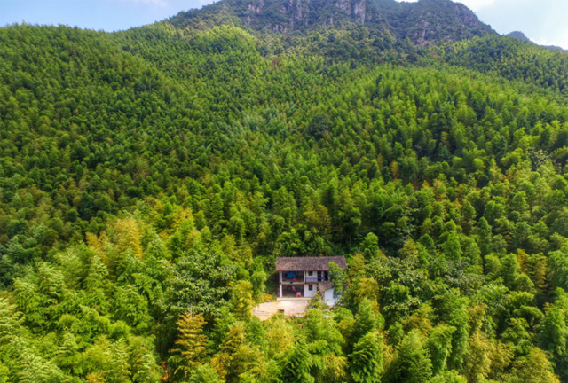 小伙为实现父亲心愿在深山老林养鸡,拉网线改房子日子过的现代化