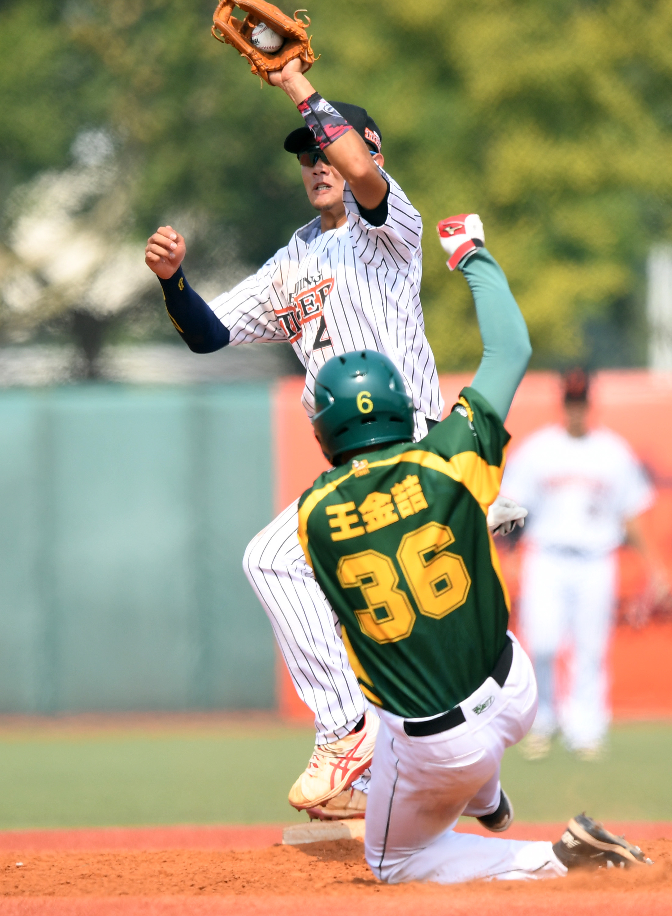 棒球——中国职业棒球联赛:北京猛虎胜天津雄狮