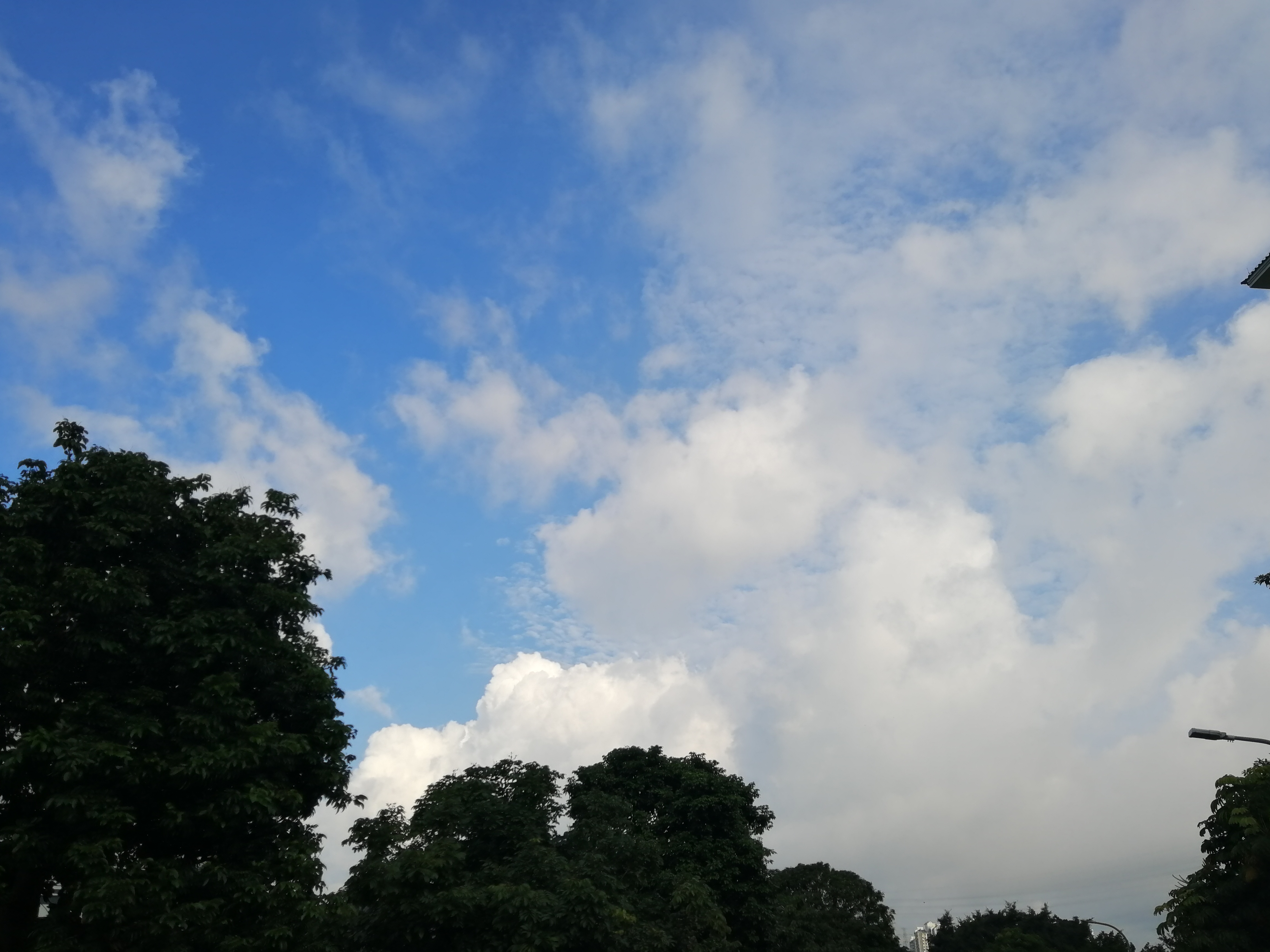 最喜欢这样清澈明朗的天空了