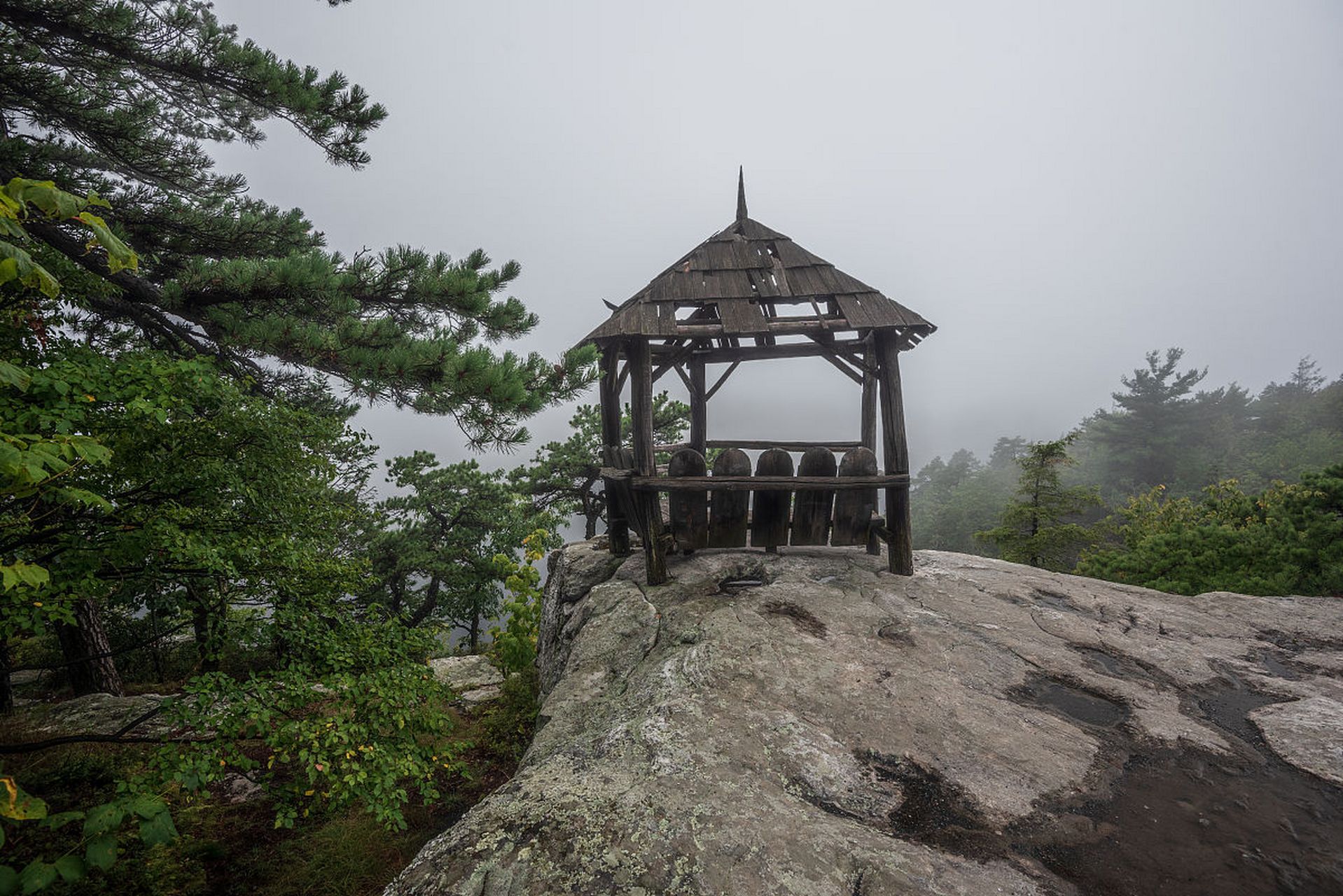 陕西旅游全攻略# 金粟山森林公园,这颗璀璨的明珠,镶嵌在富平县城