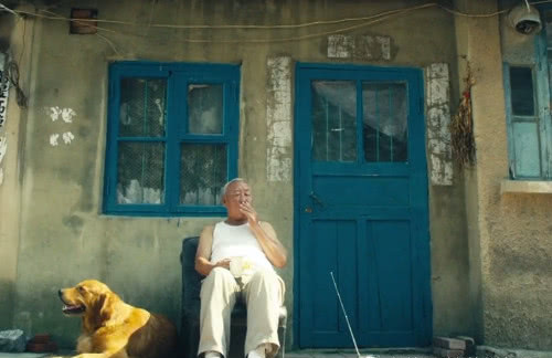 《夏洛特烦恼》马冬梅泼水时,大爷身边的狗不见了,你看懂了吗?