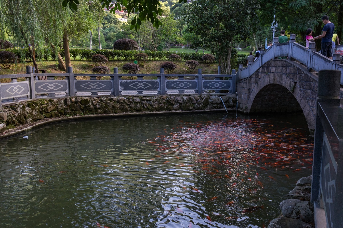 宁德南漈山公园的景色