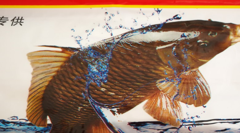 据说山西黄河壶口段的鲤鱼特点是嘴大鳞少,四根胡须且肉肥味美