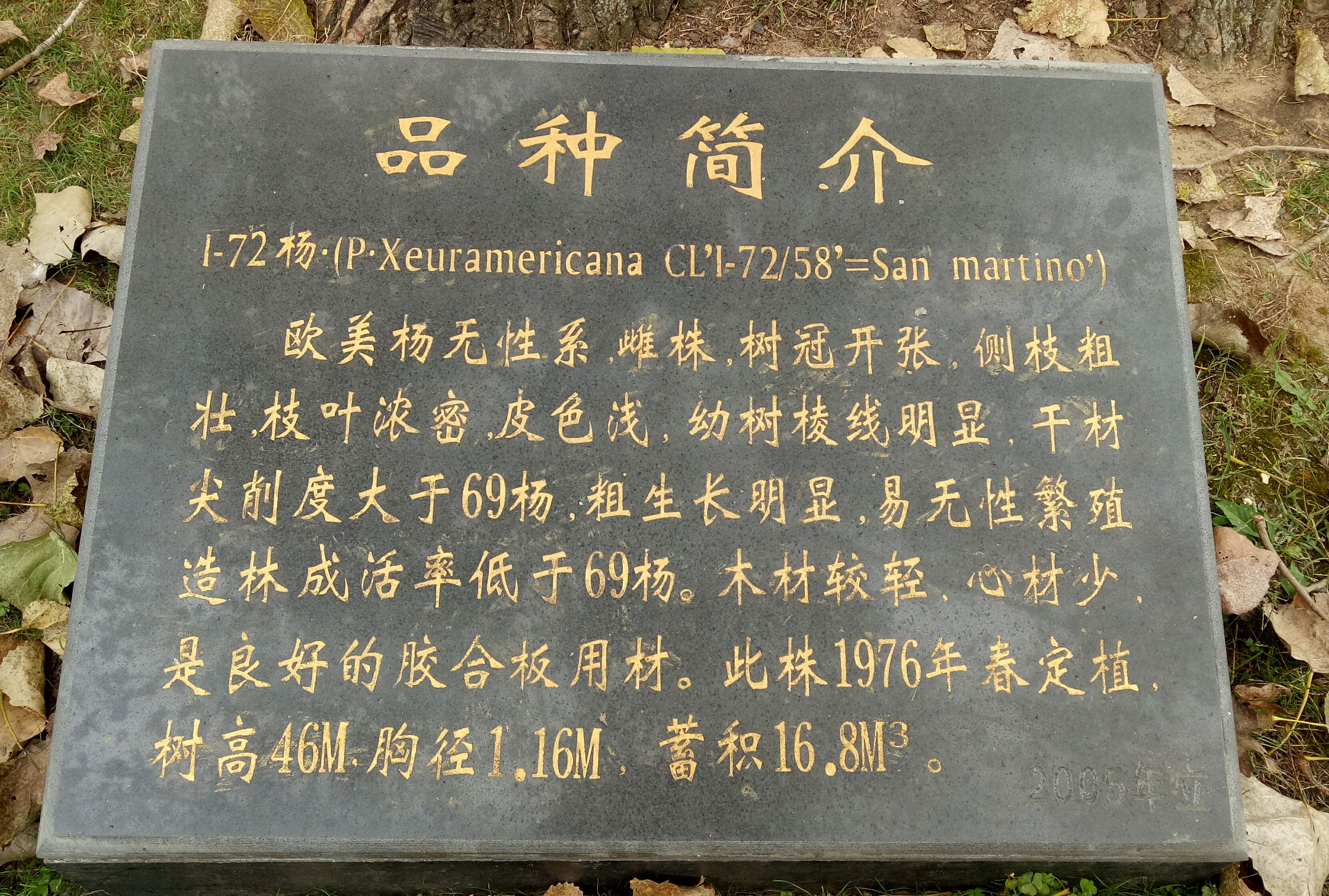 泗阳杨树博物馆的资料图片