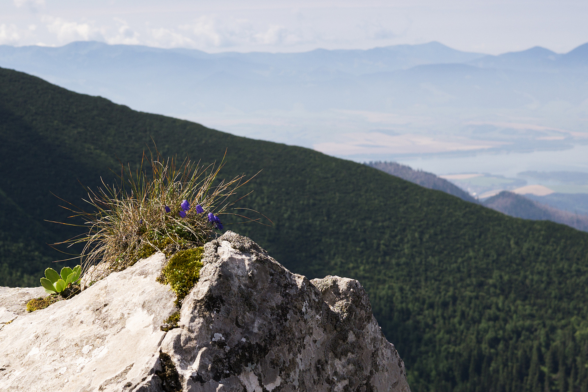 太白山:位于陕西省眉县,是秦岭山脉的主峰.