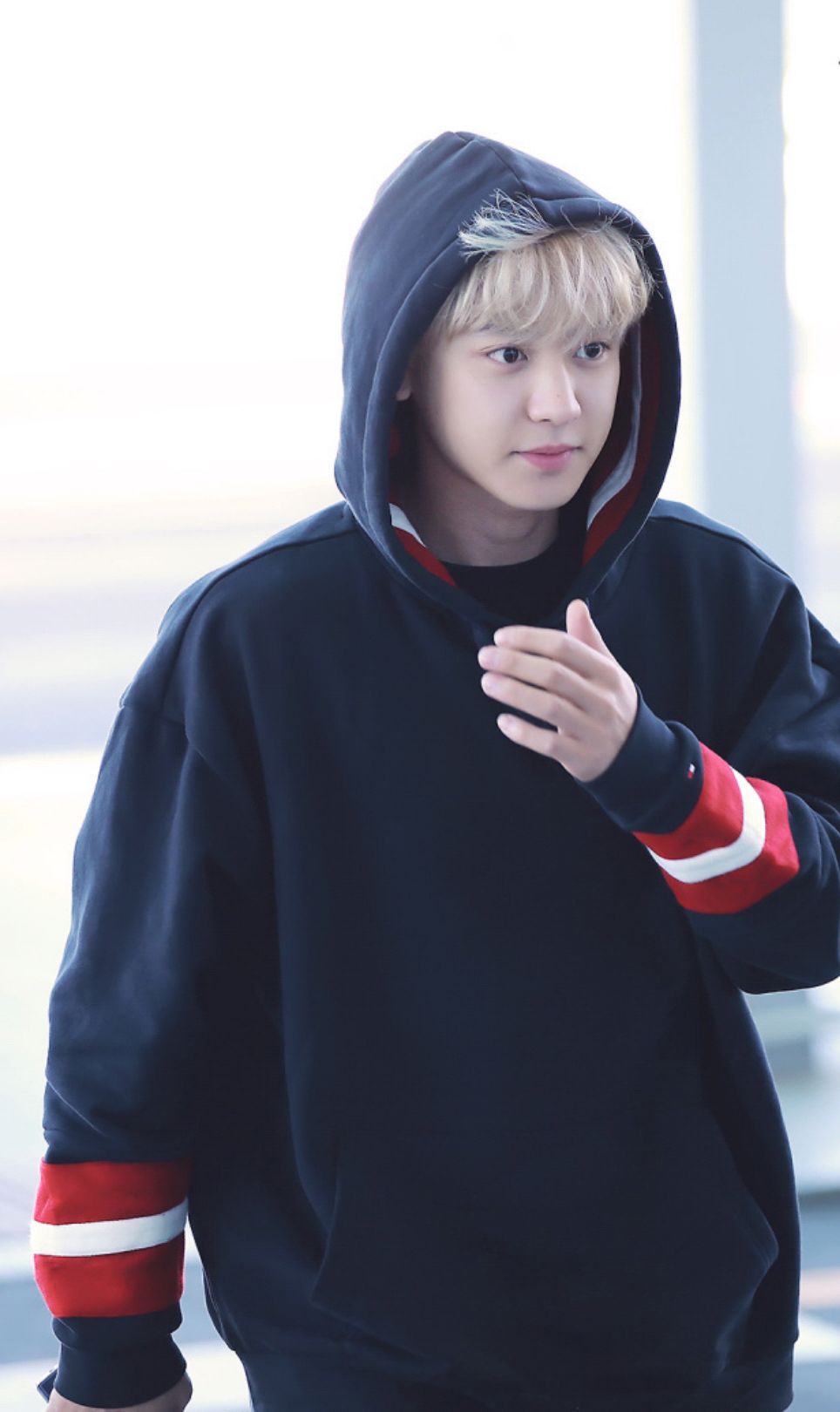 exo朴灿烈高清无水印壁纸,继sj东海后又一沉迷举铁的金刚芭比