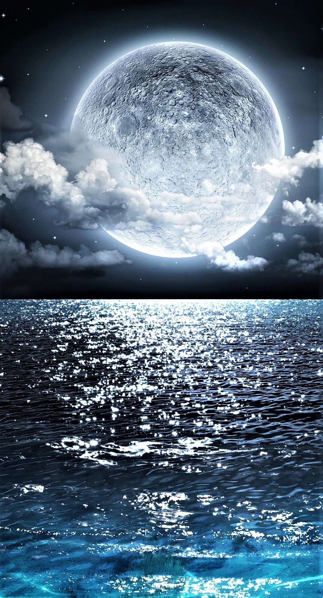 东风夜放花千树,更吹落,星如雨.