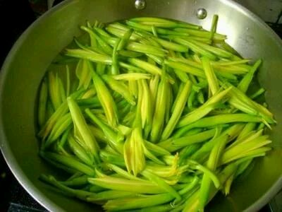 预防食物中毒——鲜黄花菜