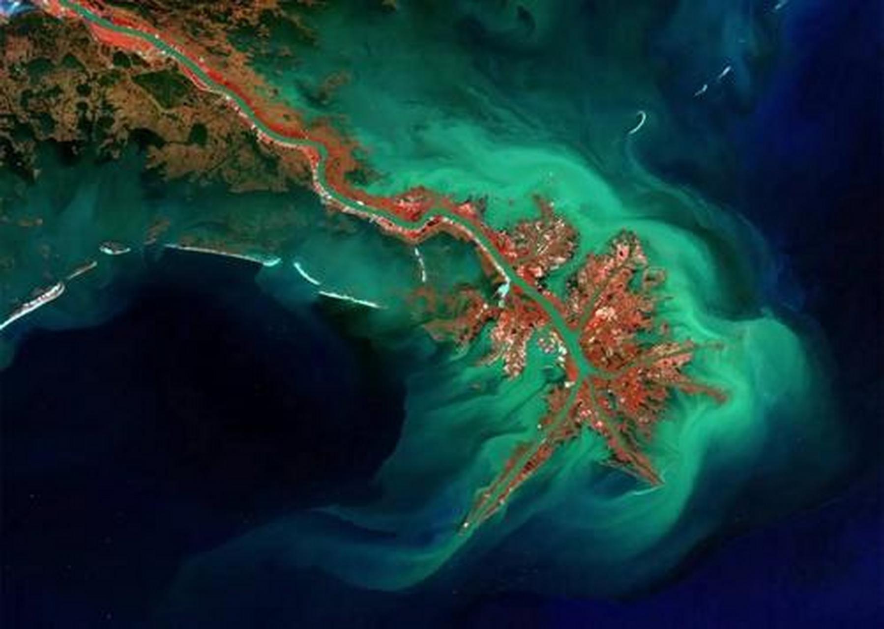 万物皆可云##云游全世界#密西西比河三角洲:密西西比河三角洲,它袄è