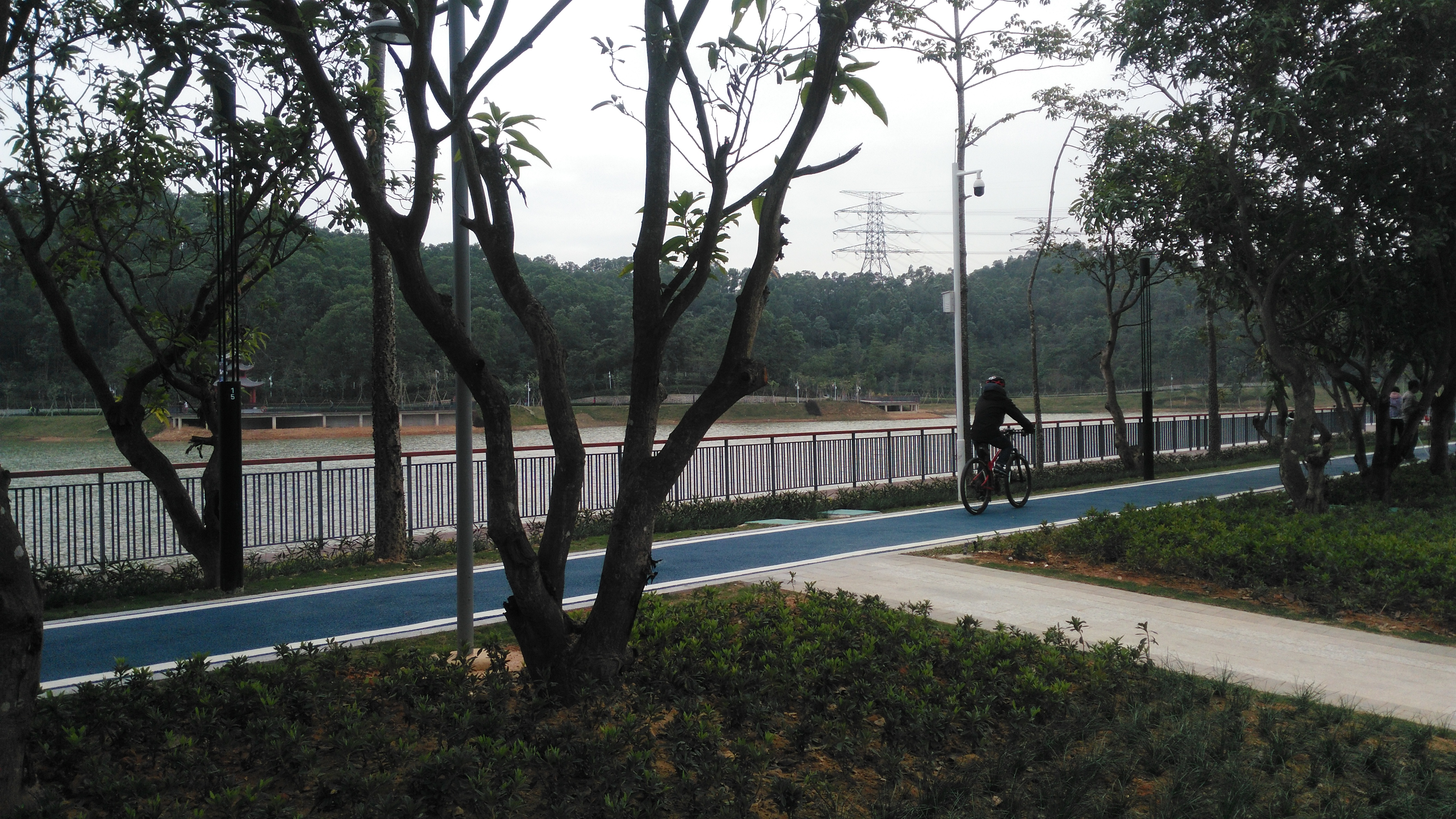 深圳龙岗大运公园经过改造升级,现在变得越来越美了