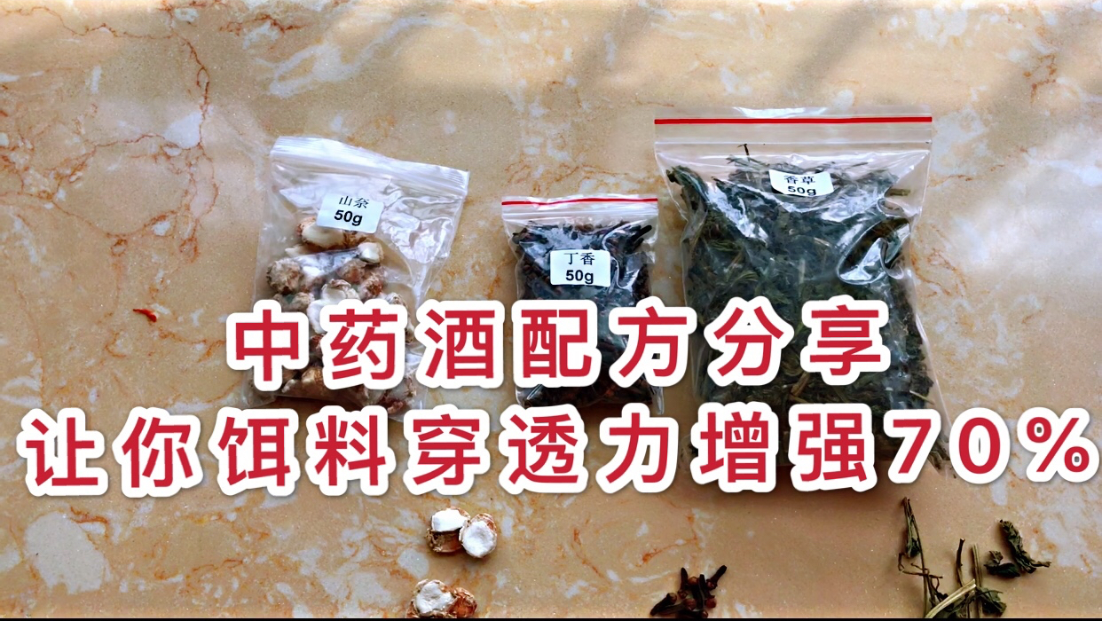 爆护中药酒配方分享,让你饵料穿透力增强70%,全程不停口