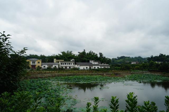 调研|乡村振兴怎么做?重庆江津油溪镇大坡村这样破题