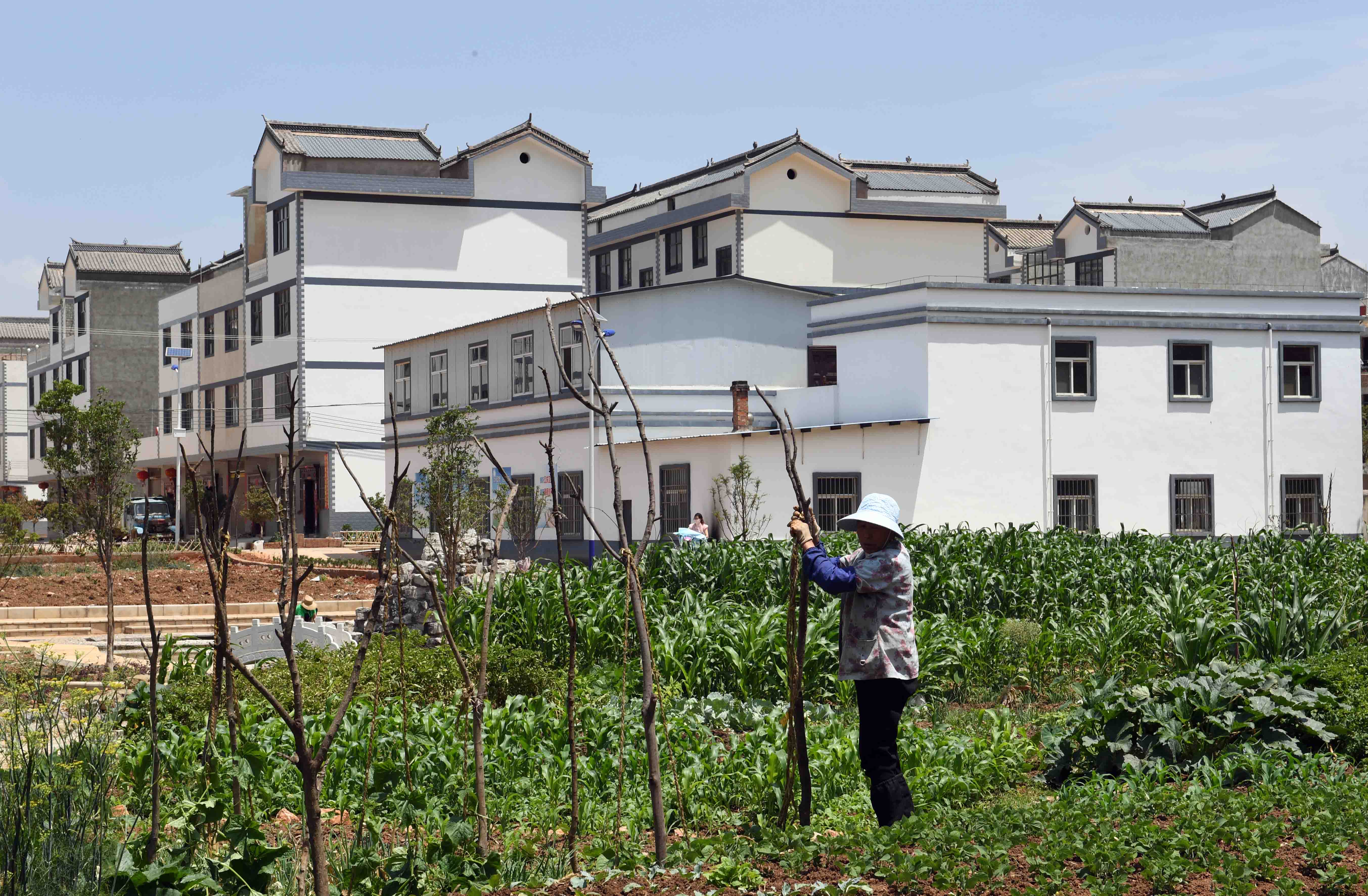 走访云南曲靖美丽宜居乡村(3)