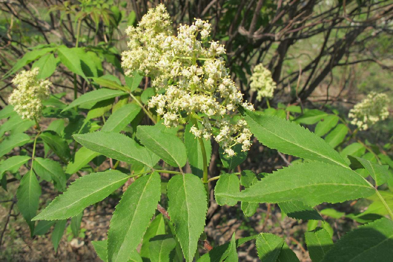 珊瑚- 热门商品专区