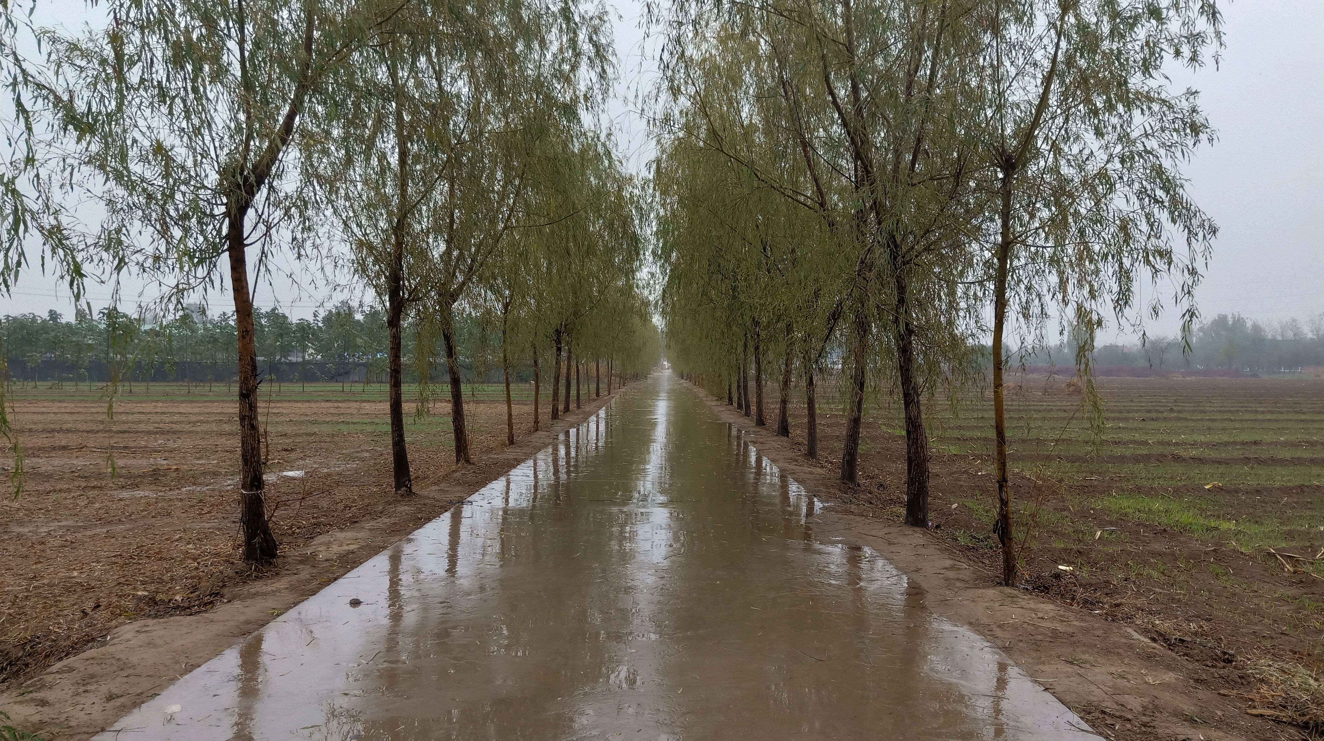 下雨了!这里终于下雨了!初冬喜雨,最高兴的是谁?